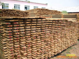 匠心雕琢，品质生活 沈阳市世博木制品加工厂产品精选